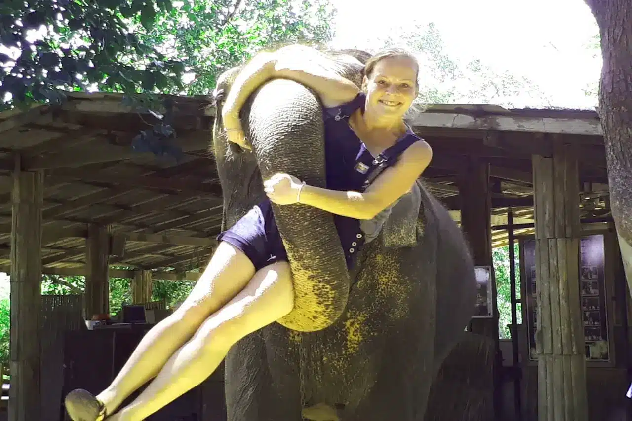 Das Elephant Village Pattaya