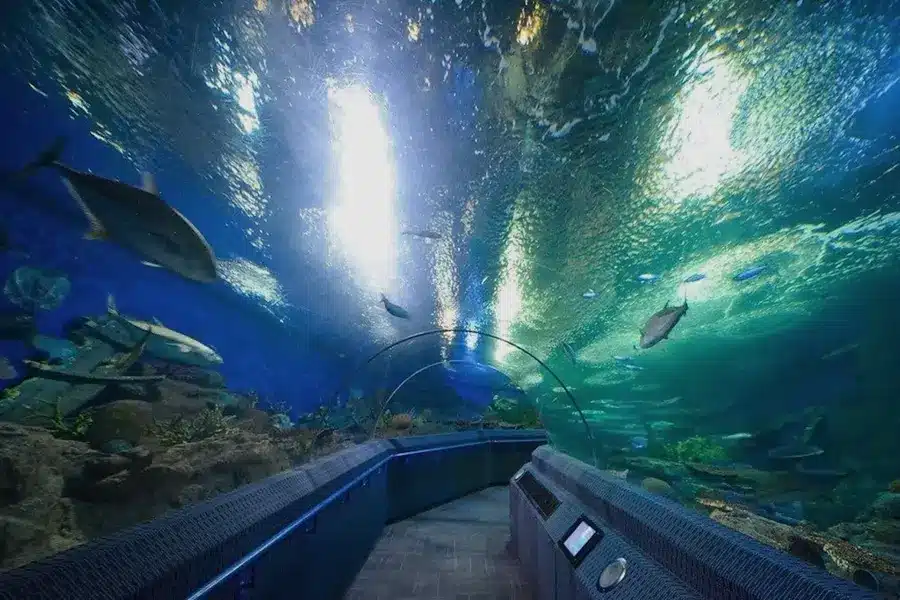 Underwater World Pattaya – der begehbare 105 Meter lange Unterwassertunnel umgeben von Haien und tropischen Fischen